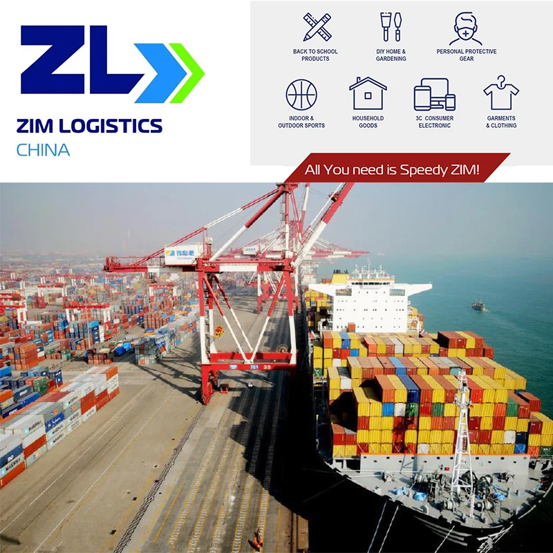 LCL FCL Dropshipping Sea Freight Forwarder From China To USA SABINE Seattle WA