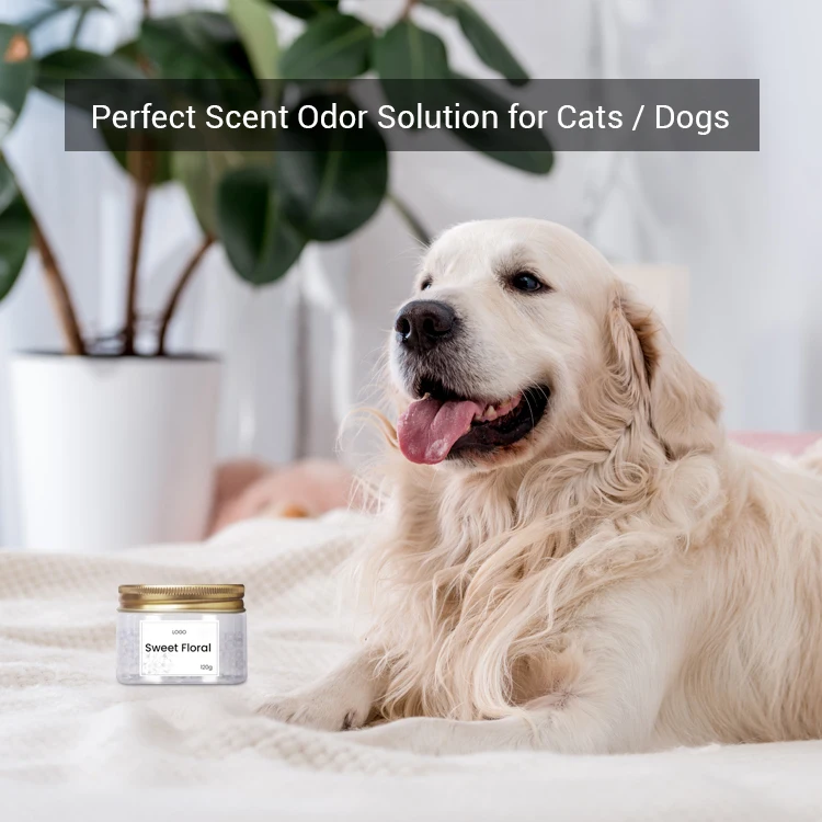 Charm Aroma Factory Price C02 Sweet Floral Home Natural Deodorant Car Odor Eliminator Pet Odor Remover