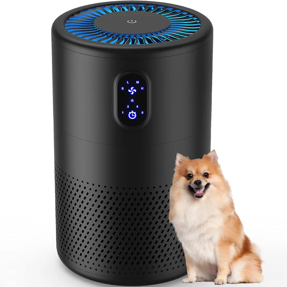 Очиститель воздуха для дома