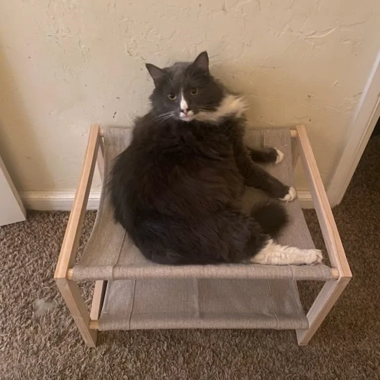 Elevated Wooden Cat Beds Suitable For Kitty 20 x 16.5 x 13 Inch Cat Beds & Furniture Wood Pet Resting Hammock Cat Hammock Bed