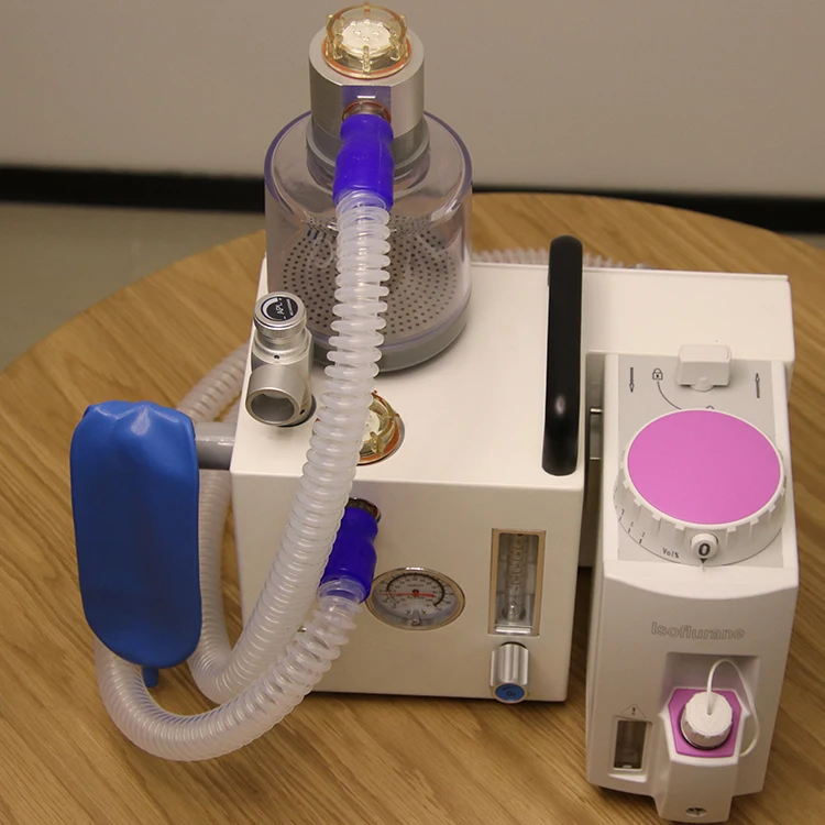 Online Shop Turkey Excellent Performance Other Veterinary Instrument Anesthesia Machine for Vet