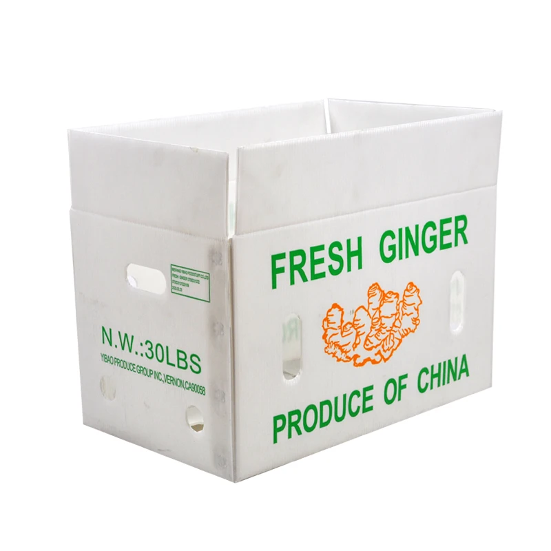 Fruit Vegetable Packing PP Cartonplast Grapes Packing Boxes Plastic Broccoli Boxes Corrugated Ginger Sheet