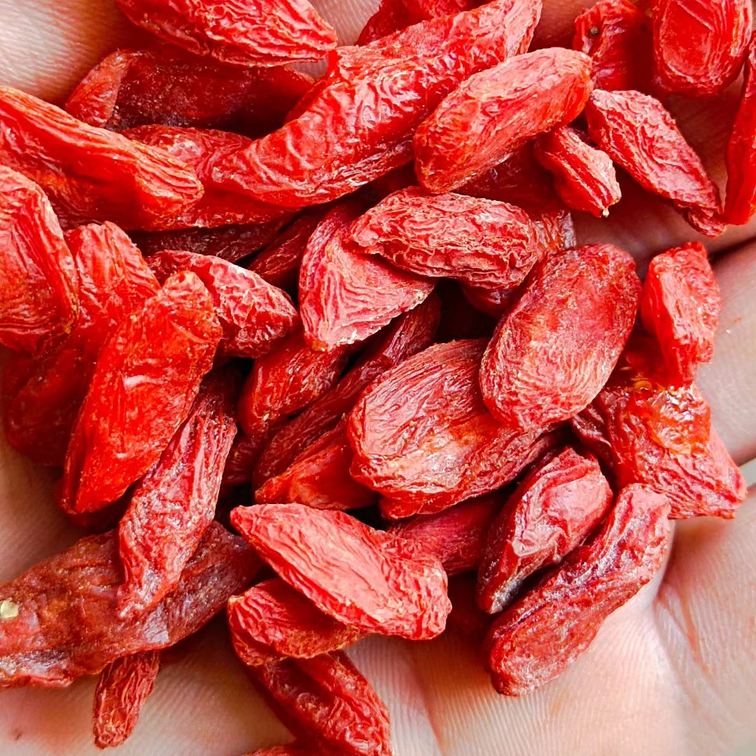 Wolfberry Goji Berries Hot Selling High Chinese New Corp Red Medlar Lyciun Plus Chinese Wolfberry Dried Fruit ningxia goji berry