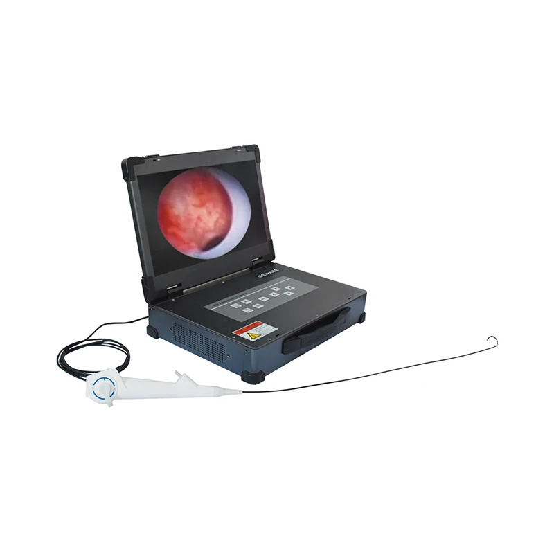 Single Use Disposable Flexible Ureteroscope Medical Endoscope CE Certified Factory Price