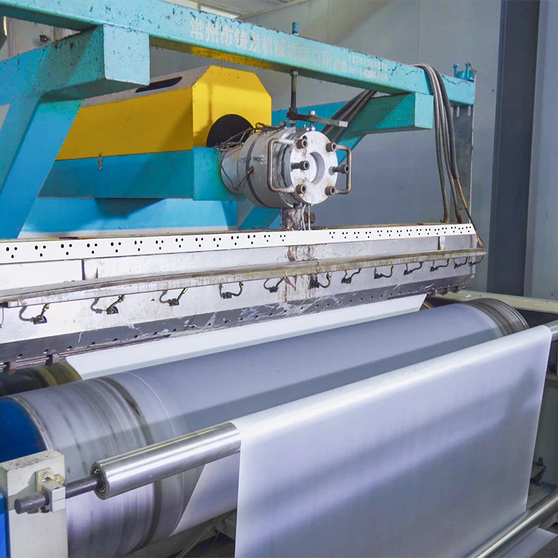 High quality 100pcs/pack disposable plastic clear gloves for export South Korea