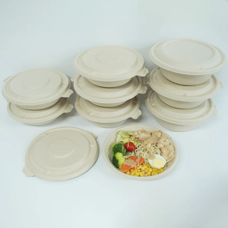 Natural Degradable Compostable Take Out Food Bento Container Box Biodegradable Disposable Sugarcane Bagasse Bowl