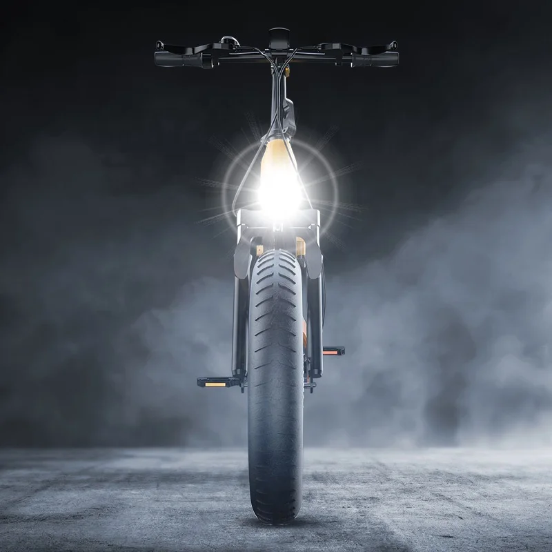 LED Display Electric Bicycle Anti-glare Lighting Ebike Srtong Penetration Electric Bike For Adult