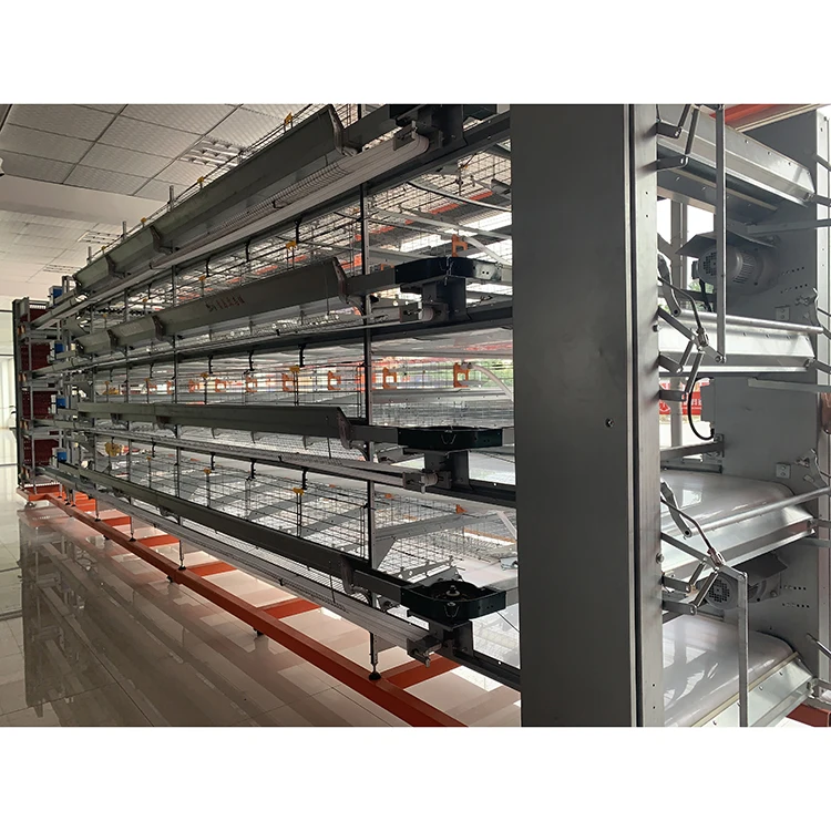 
China Factory Manufacture Hot Sale rwanda poultry farm chicken layer cage 