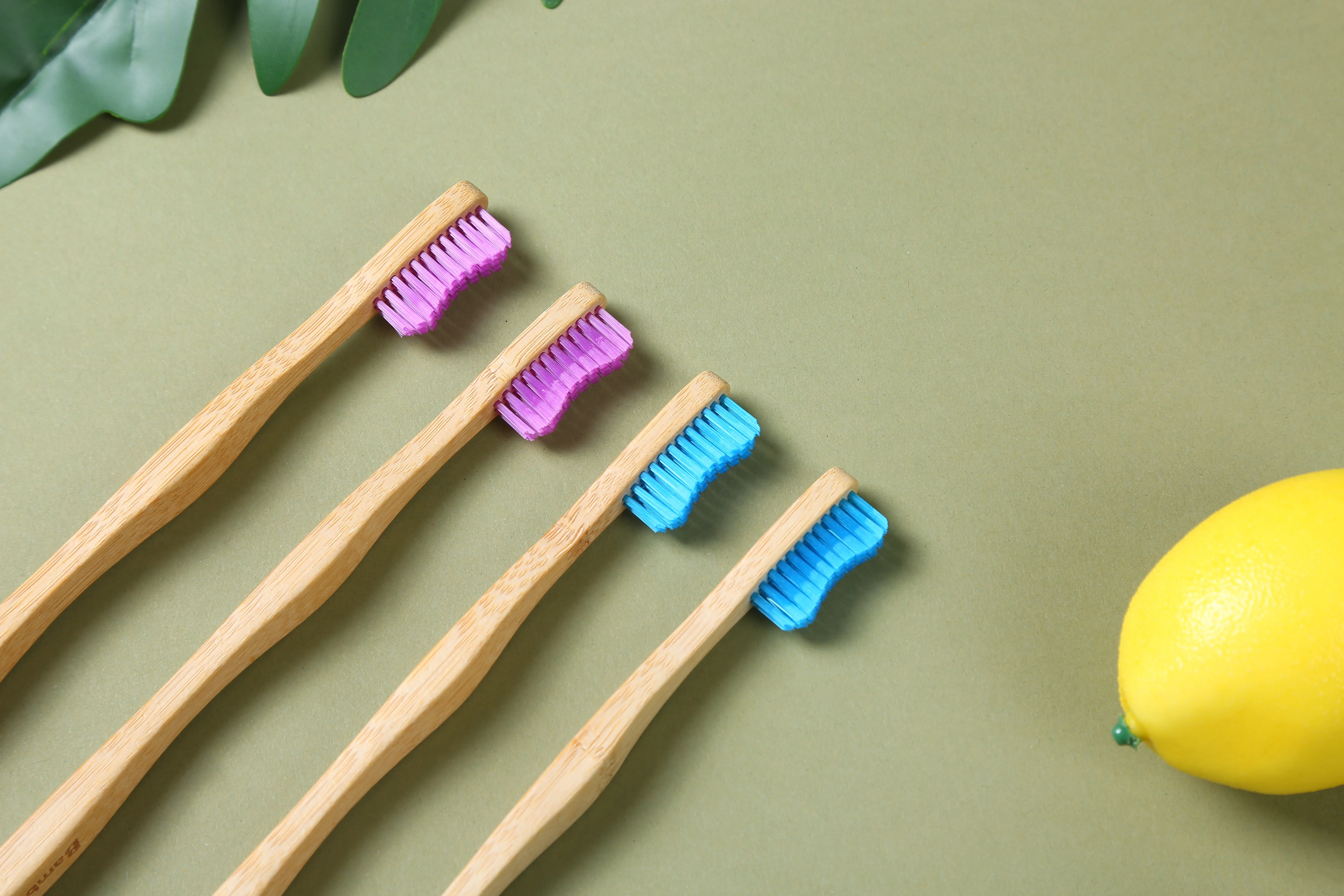 Wholesale BPA free  eco friendly organic toothbrush with fsc certificate