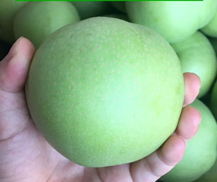 Chinese Cheap Price Wholesale Organic Emerald Pear Price