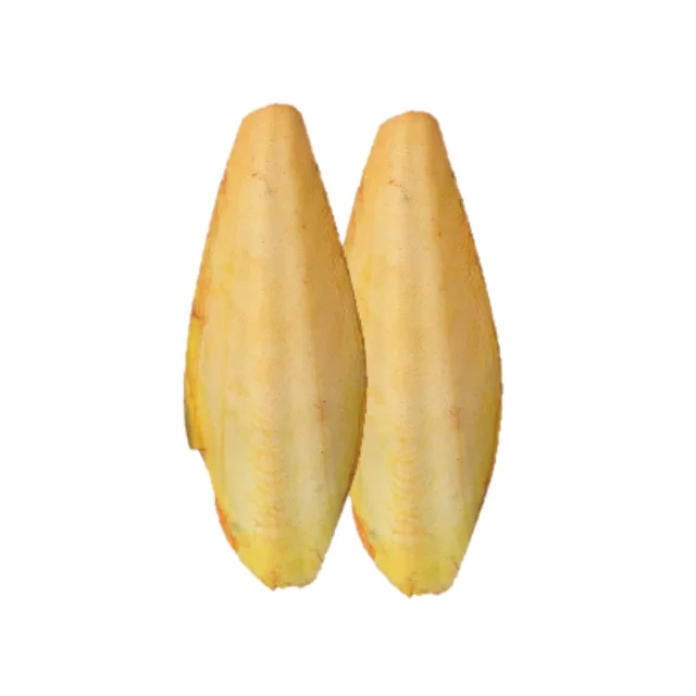 Cuttlefish Bone for birds white color trimmed blister pack single or bulk box high Quality Calcium Supplement factory in Vietnam