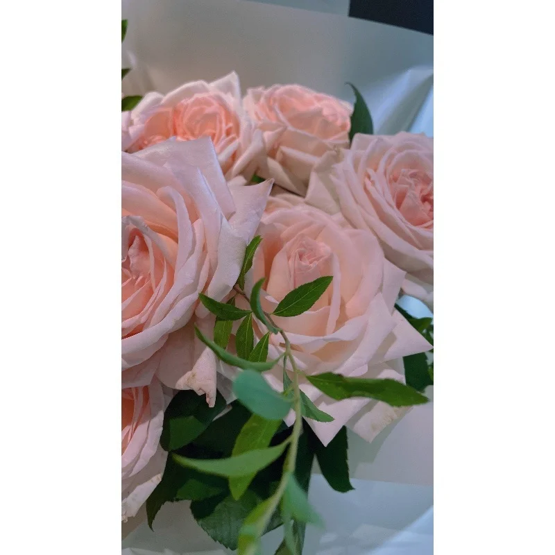 
Yuhuiting Peachy Bouquet 
