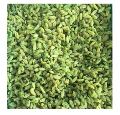 Dry fruits green raisin Xinjiang