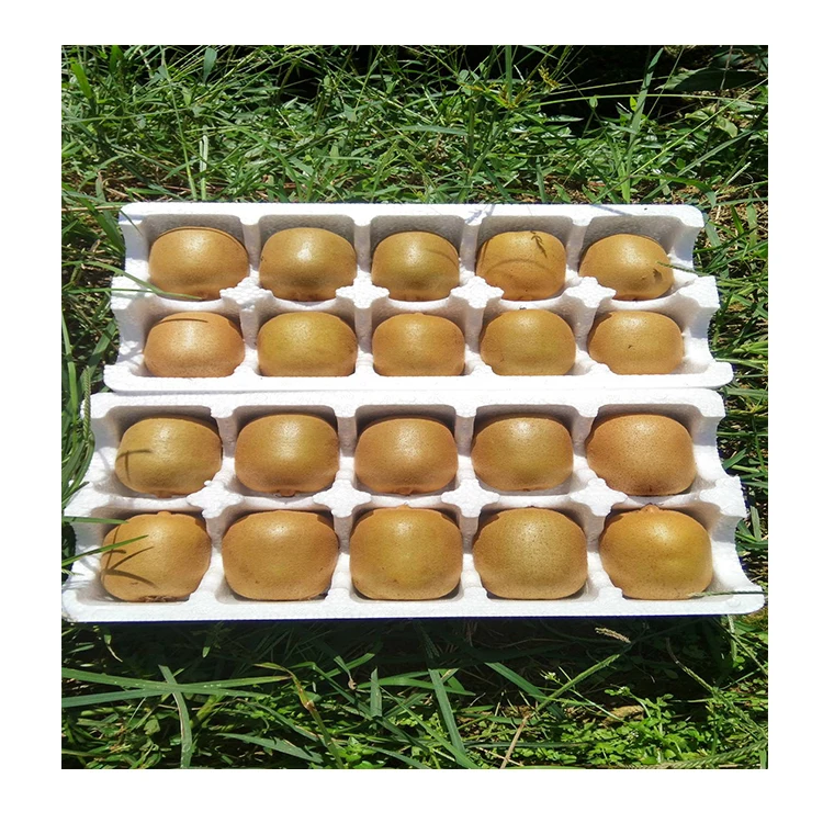 wholesale China Fresh Kiwi Price/kiwi Juice/fresh Kiwi