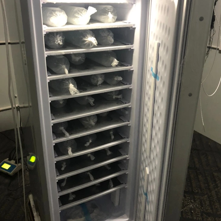 BD-198 198liter dc 12V/24V  solar ice maker Mobile milk tea house commercial