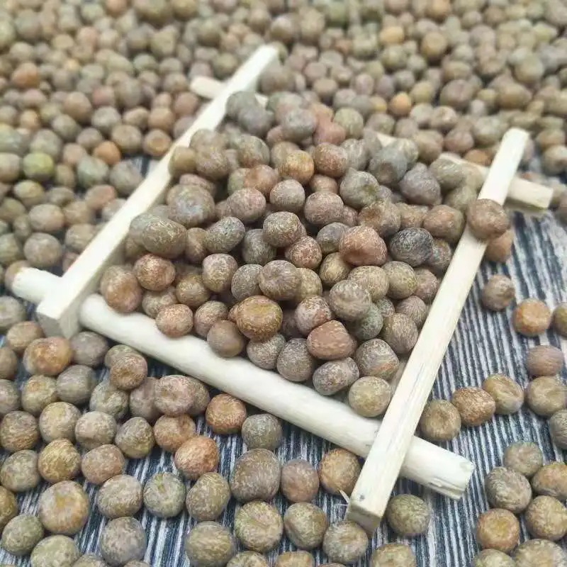 
DSF Замороженные Серые бобы для продажи по самой низкой цене 