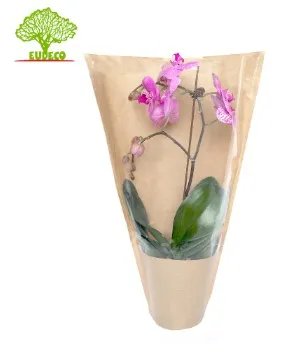 Waterproof Flower Sleeves of Fresh Herb Packaging for Hydroponic Living Basil and Root Ball  Lettuce Vegetable Packing Bag