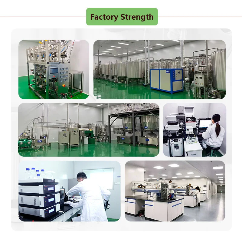 Private Label Organic Hericium Erinaceu Lions Mane Mushroom Extract Lions Mane Mushroom Powder Food Grade Hericium Erinaceus
