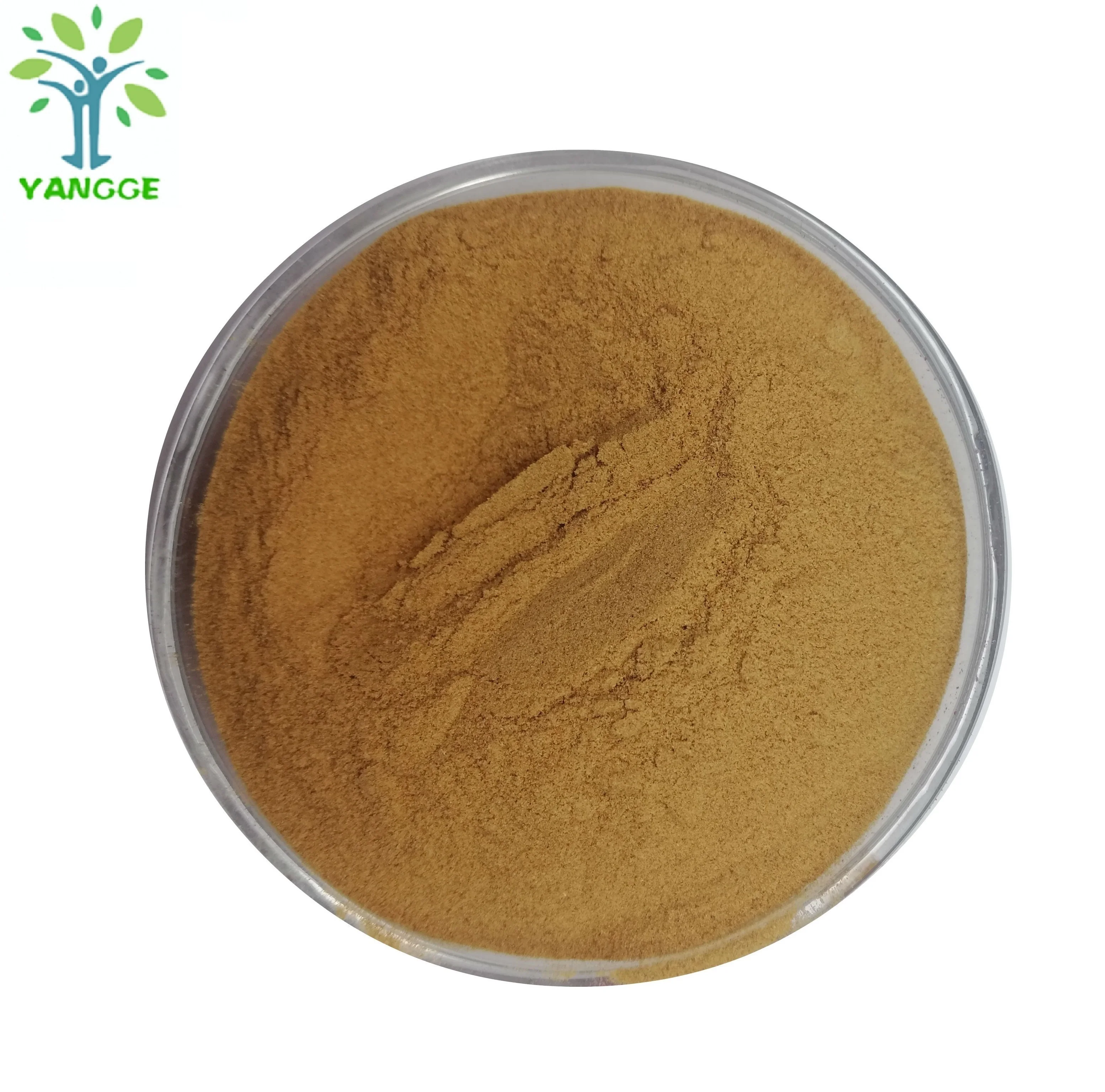 
100% Natural Peppermint Leaf Extract Powder 
