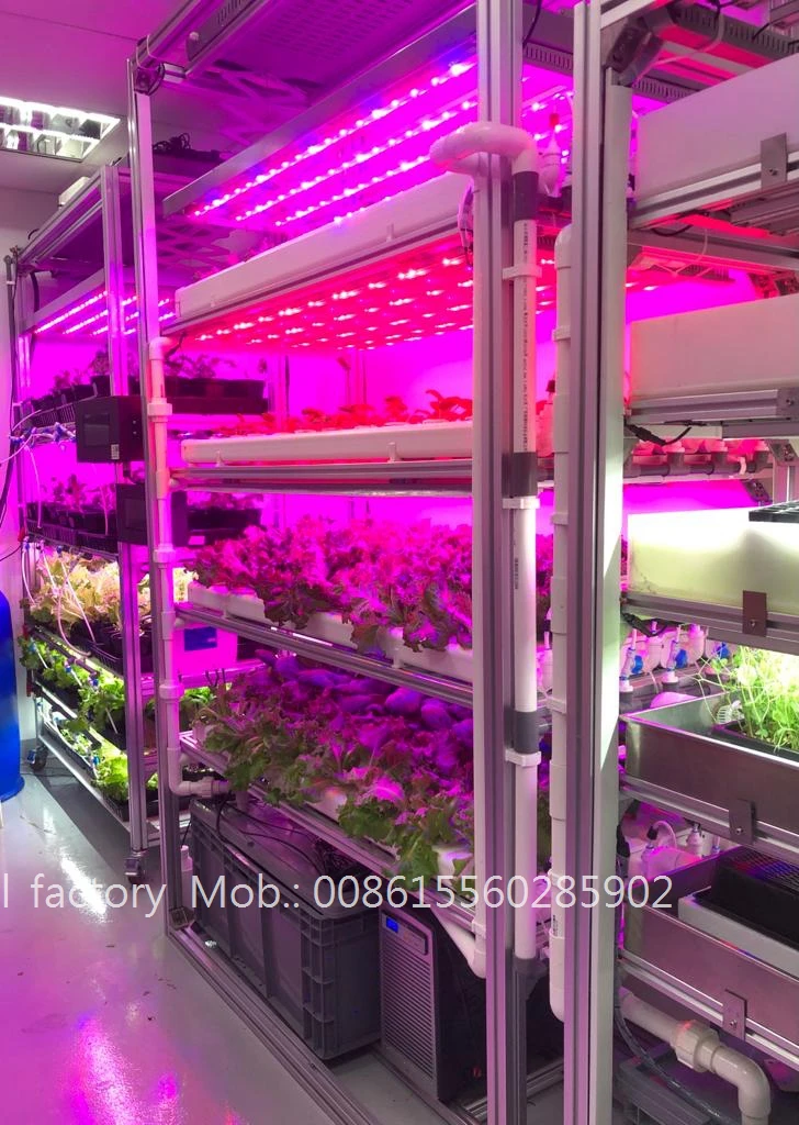 
Intelligent Smart control commercial agricultural lettuce 250 mm hydroponic gully nft 