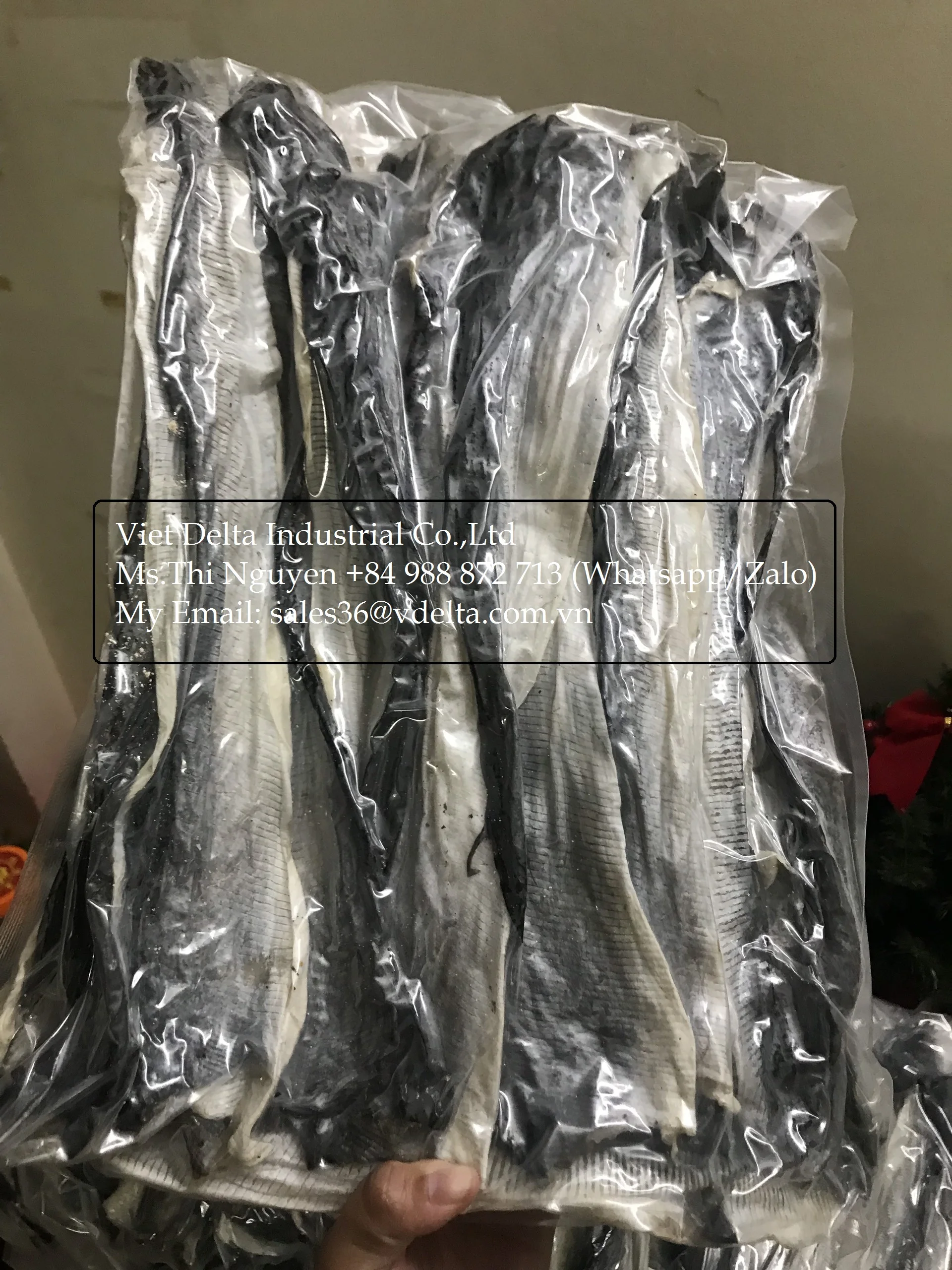 Manufacturer fish skin / dried - snack - fried ( crispy ) of pangasius fish skin - salmon fish skin very cheap from Viet nam