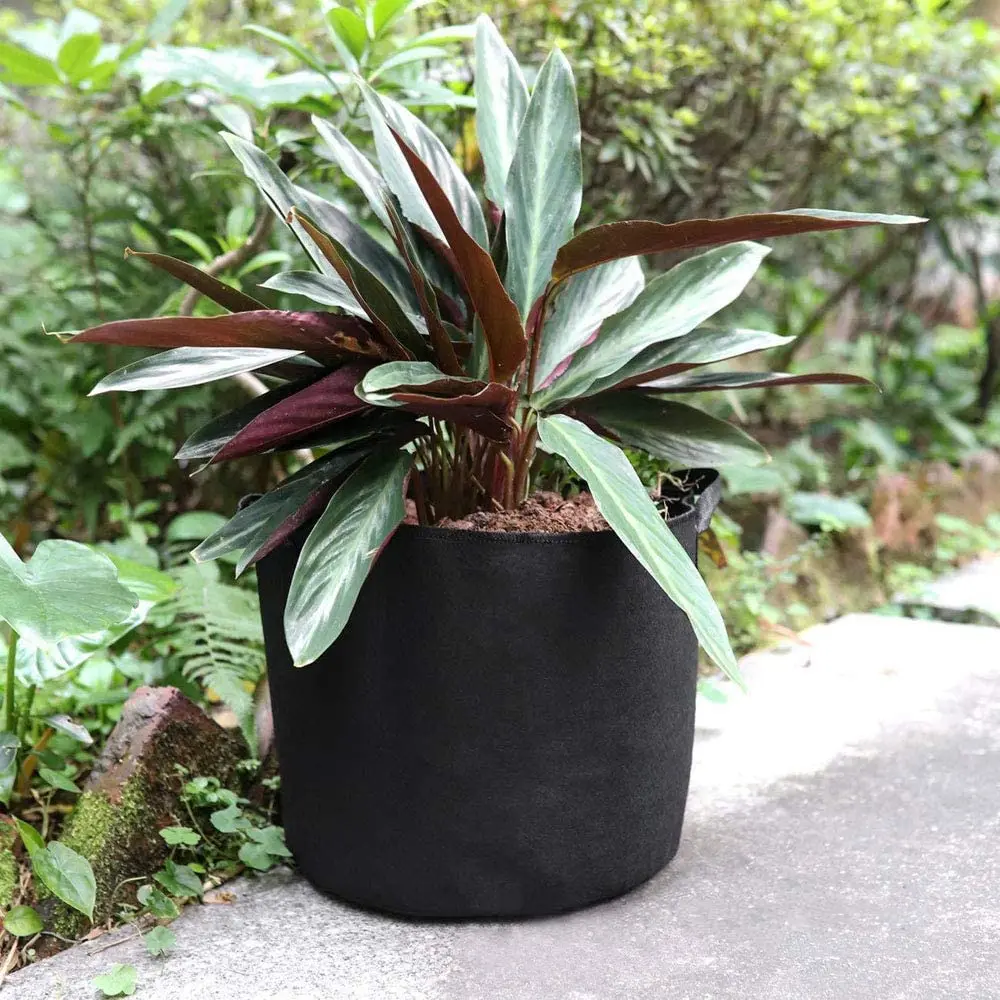 Yuchen 3 5 10 20 25 30 100 Gallon Felt Grow Bags 5 Gallon Heavy Duty Thickened Nonwoven Plant Fabric Pots With Handles