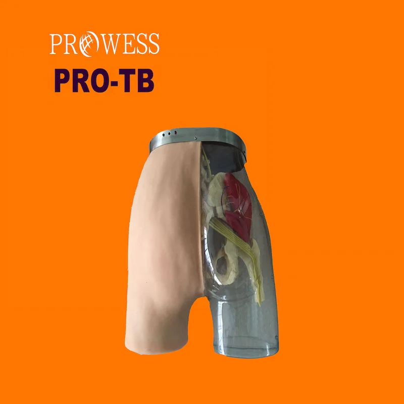 PRO-TB medical teaching not easy to deform comparative observation Buttocks Intramuscular Injection and Compared Simulator