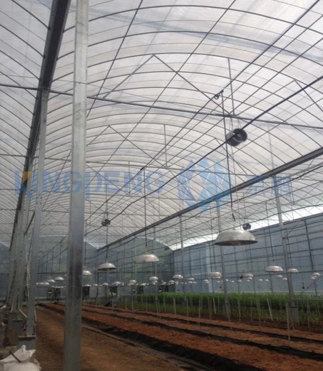 Shade Net Green