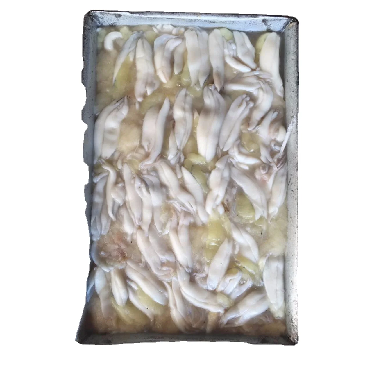 seafood sea baby frozen Fresh Frozen Peru squid roe raw material block in stock