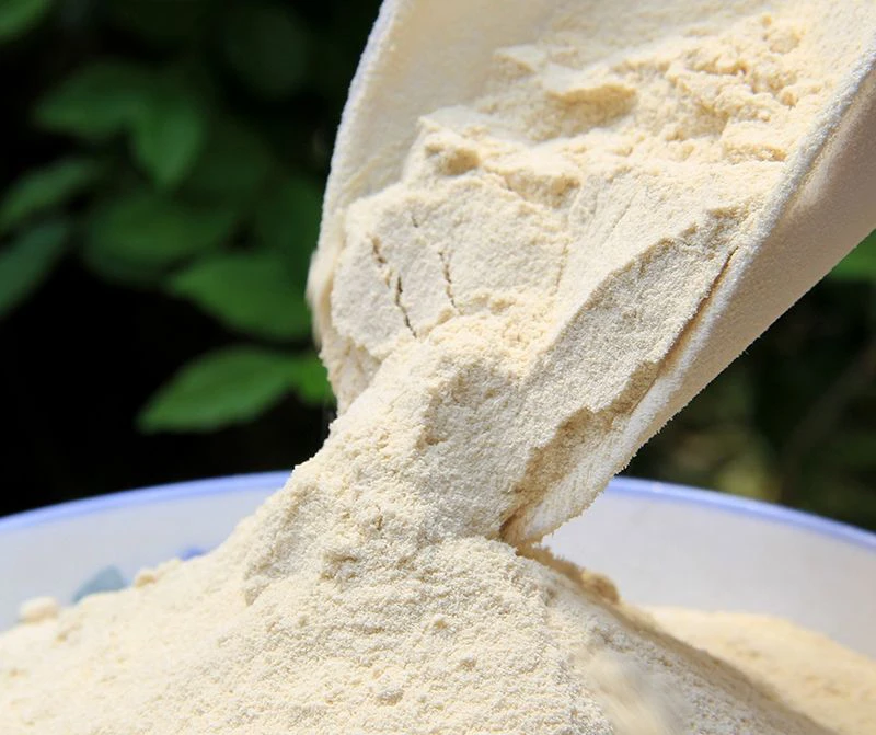 Vital Wheat Gluten 25kg Hot Sale Hydrolyzed Wheat Protein Food Grade With High Quality Non-GMO From China