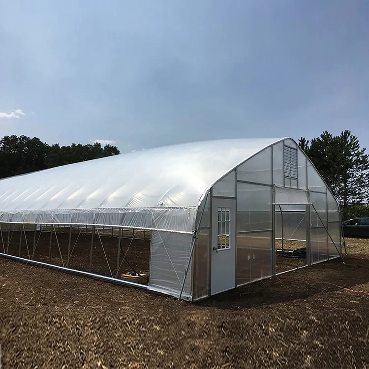 Skyplant Commercial Greenhouse  Low Cost Customized Single Span Plastic Film Greenhouse with Cooling System
