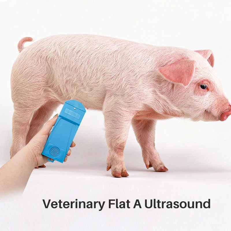Veterinary Instrument Handheld Ultrasound Scanner for Animal Pregnancy Tset Pig Sow Pregnancy Detectors