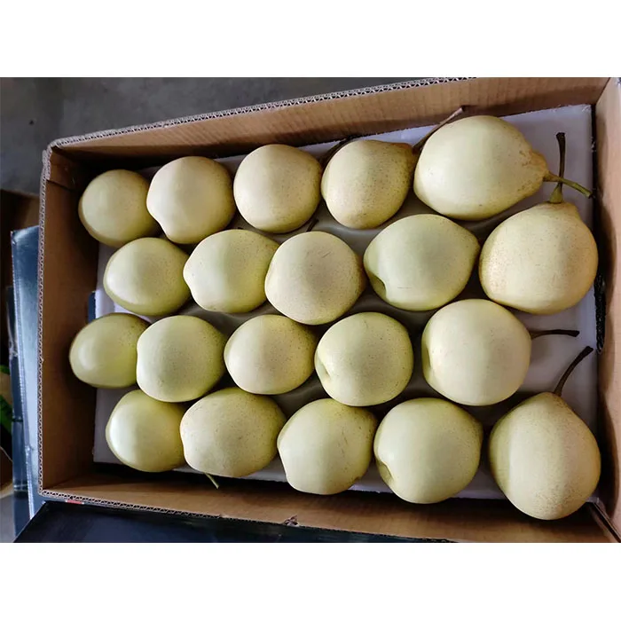 Китай свежие груши я/золотые груши