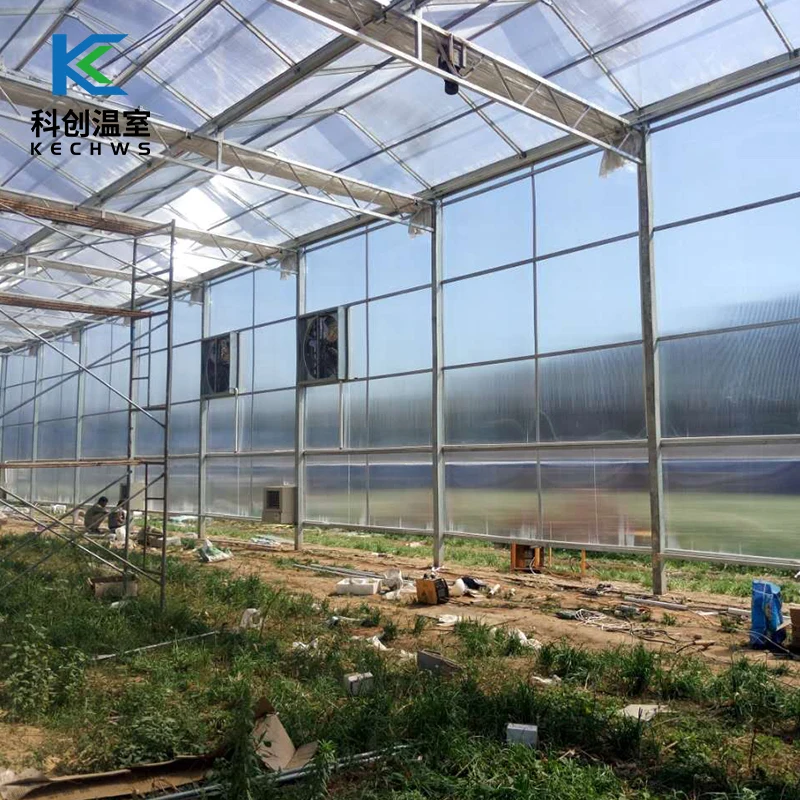 High Quality Low Price Film Energy Saving Solar Greenhouse