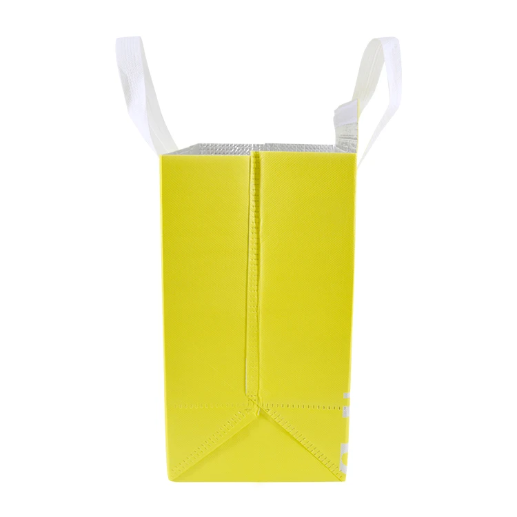 eco friendly insulated cooler bag with logo reusable