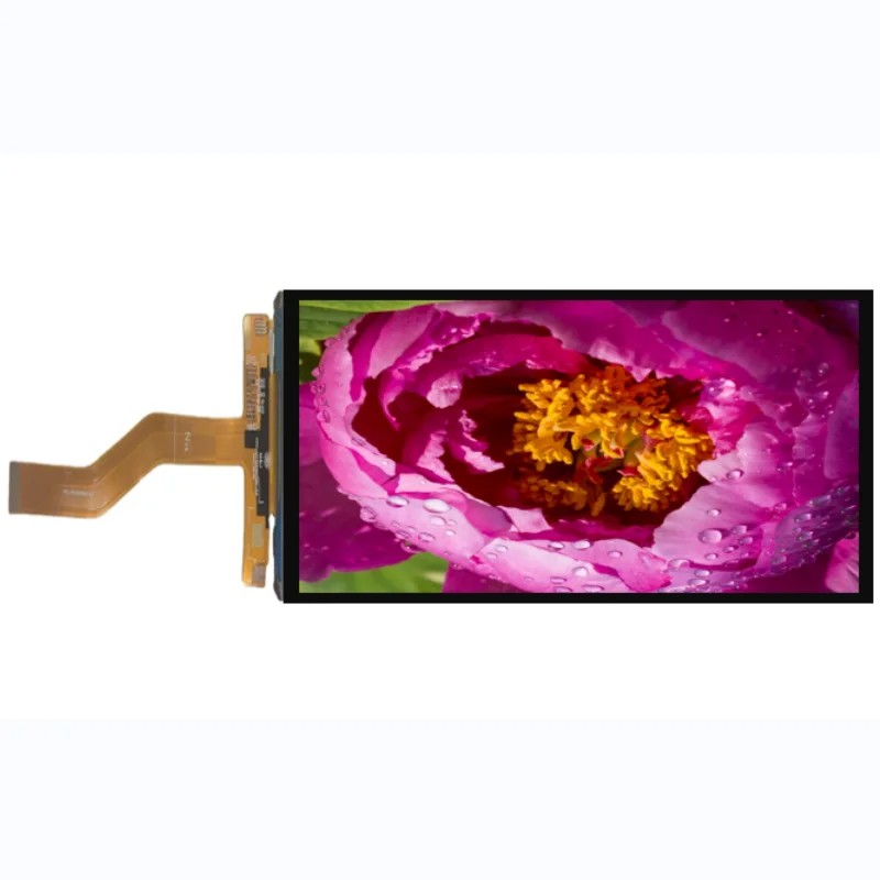 6.1inch Mobile phone LCM 720*1560 TFT LCD Touch Panel 6.1'LCD Display Module Replacement Screen for cellphone iphone