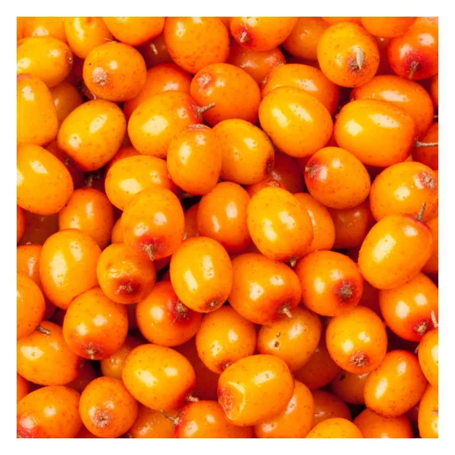 Berries Fruit Pulp Iqf Fresh Frozen Sea Buckthorn Price for wholesales in bulk