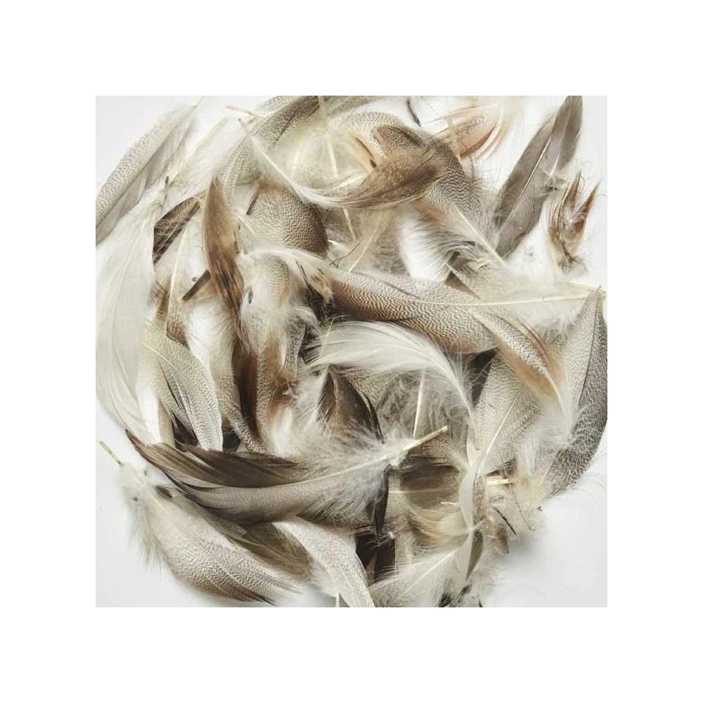 New Factory Price Soft Warm White Duck Feather Machine Washable Down Duck Down Feather For Home Textiles and Other Decoration