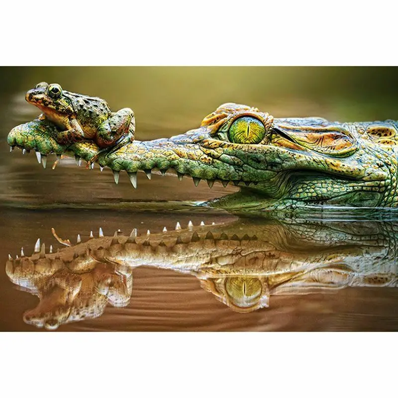 Wholesale Custom to Photo DIY Diamond Painting Crocodile And Frog Cool Design Embroidery Mosaic Decoration