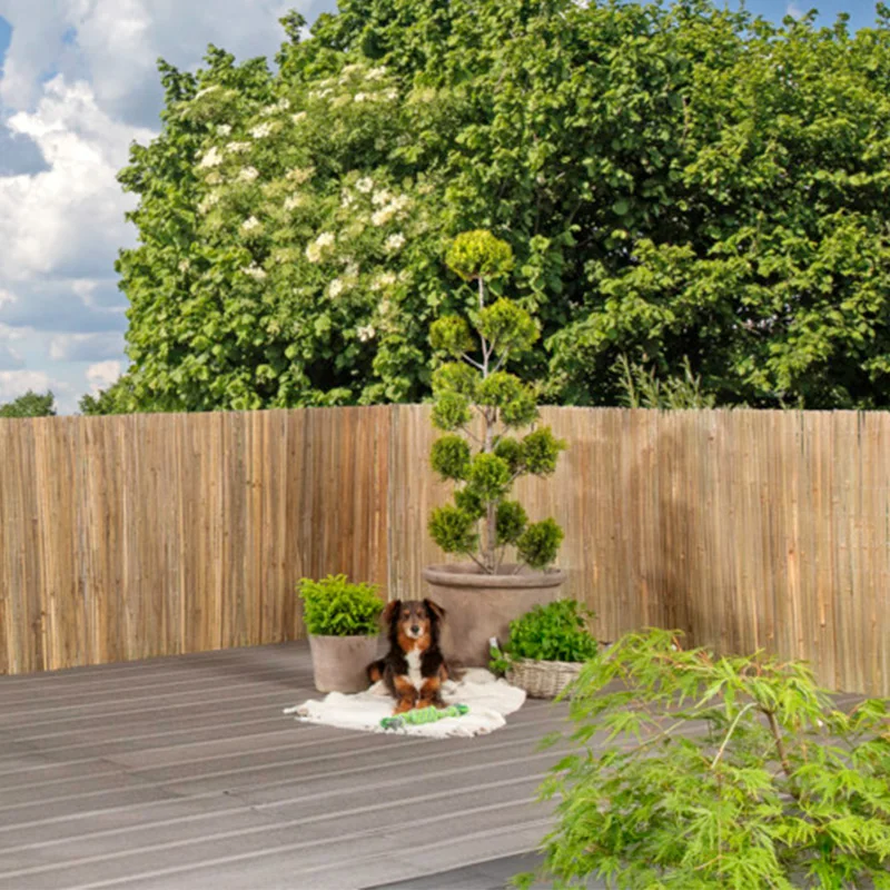 Bamboo privacy screen