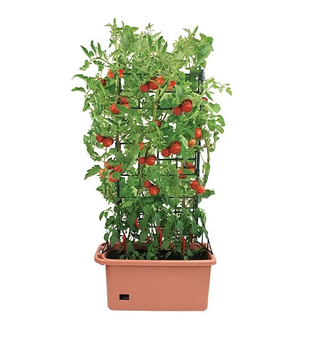  GP0150 Alibaba китайский пластиковый горшок для растений