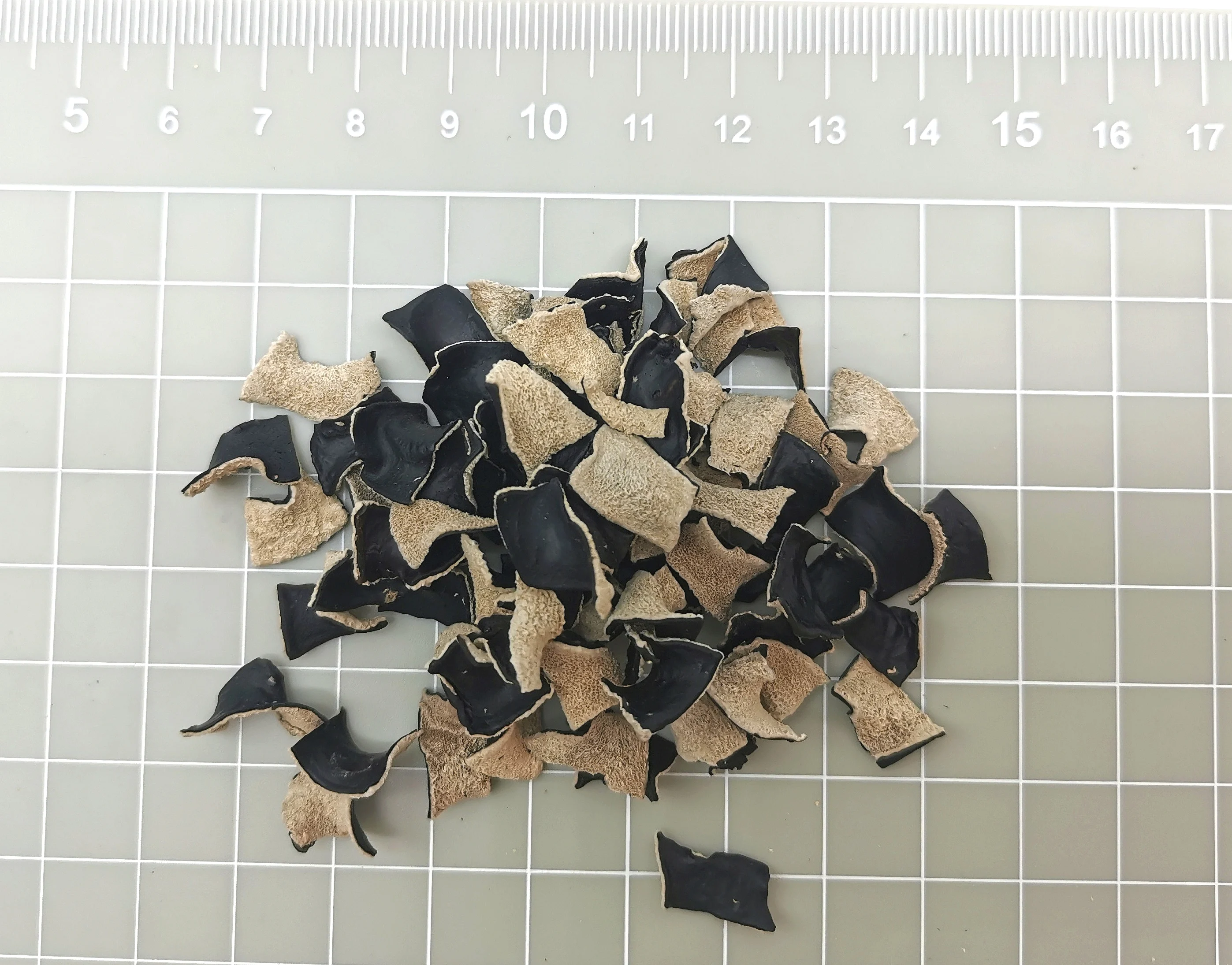 Сухие дегидратированные овощи Auricularia Polytricha белый и черный высушенный грибок 10-15