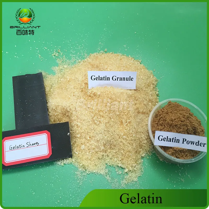 Halal Certified 280 Bloom Price Gelatin Powder for Jelly