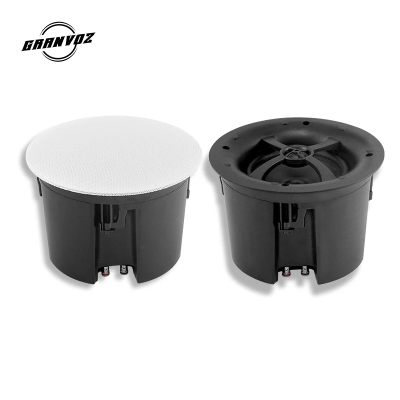 Профессиональный потолочный динамик