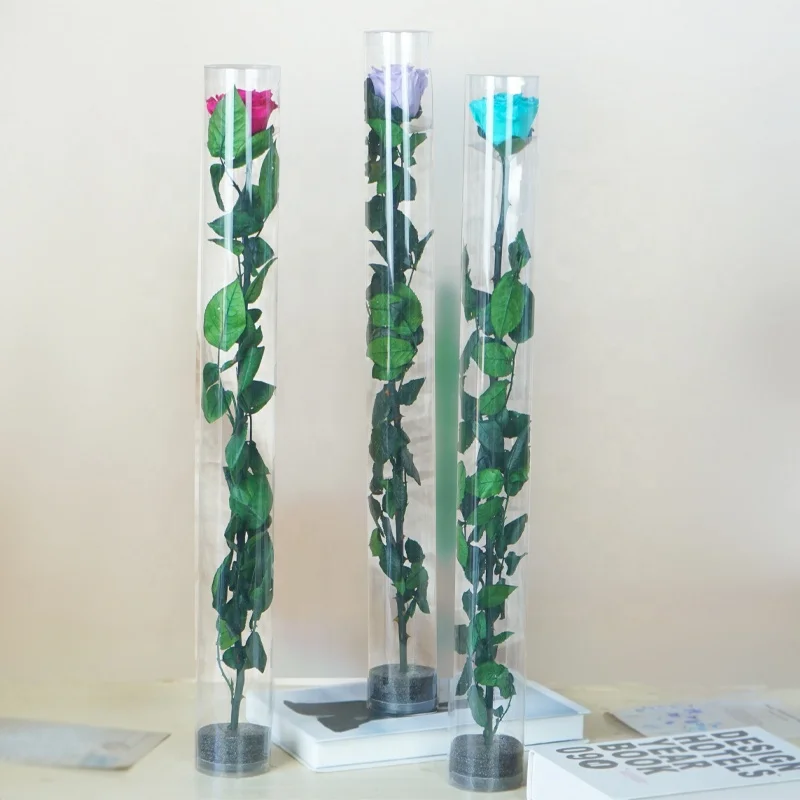 UKIQUEEN Factory Wholesale 60 cm Long A Grade Big Forever Rose Stabilized Flowers Preserved Rose with Stem in Plastic Tube