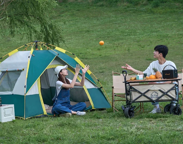 Camping Tent Waterproof Family Dome Tent for Advanced Venting Design, Fit Camp Backpacking Hiking Outdoor, Dark Green