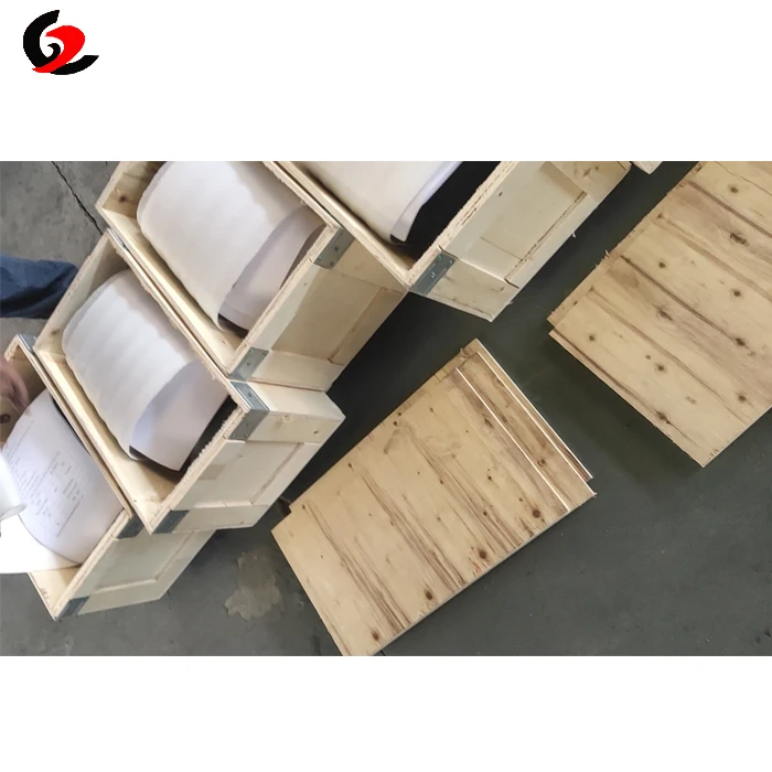 Electrical 50HZ 60HZ Squirrel Cage AC Motor For Sale