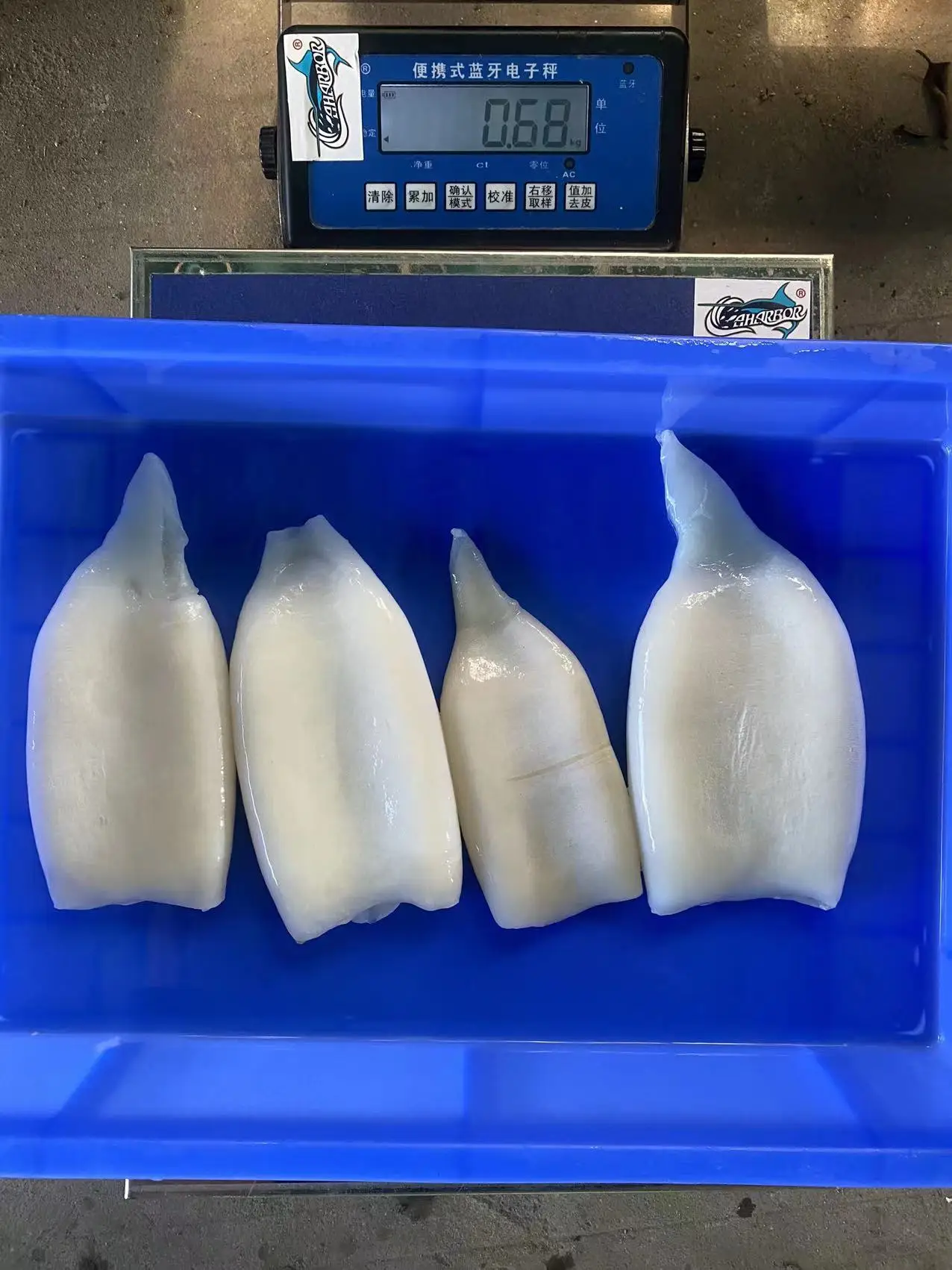 Новый запас, китайский оригинальный замороженный кальмар для мяса, замороженный кальмар