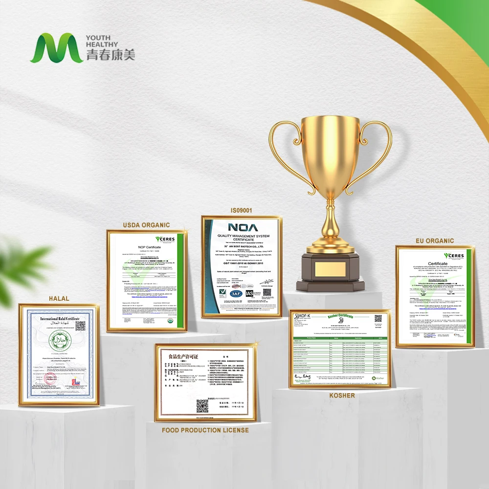 Manufacturer Supply Organic Curcumin Bulk