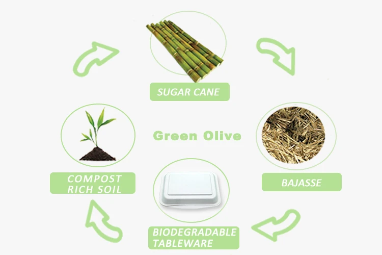 
Compostable Disposable Bagasse Food Container Biodegradable Sugarcane Bagasse Packaging Boxes 